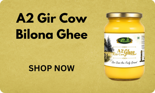 A2 Gir Cow Bilona Ghee - Pasutam Farm