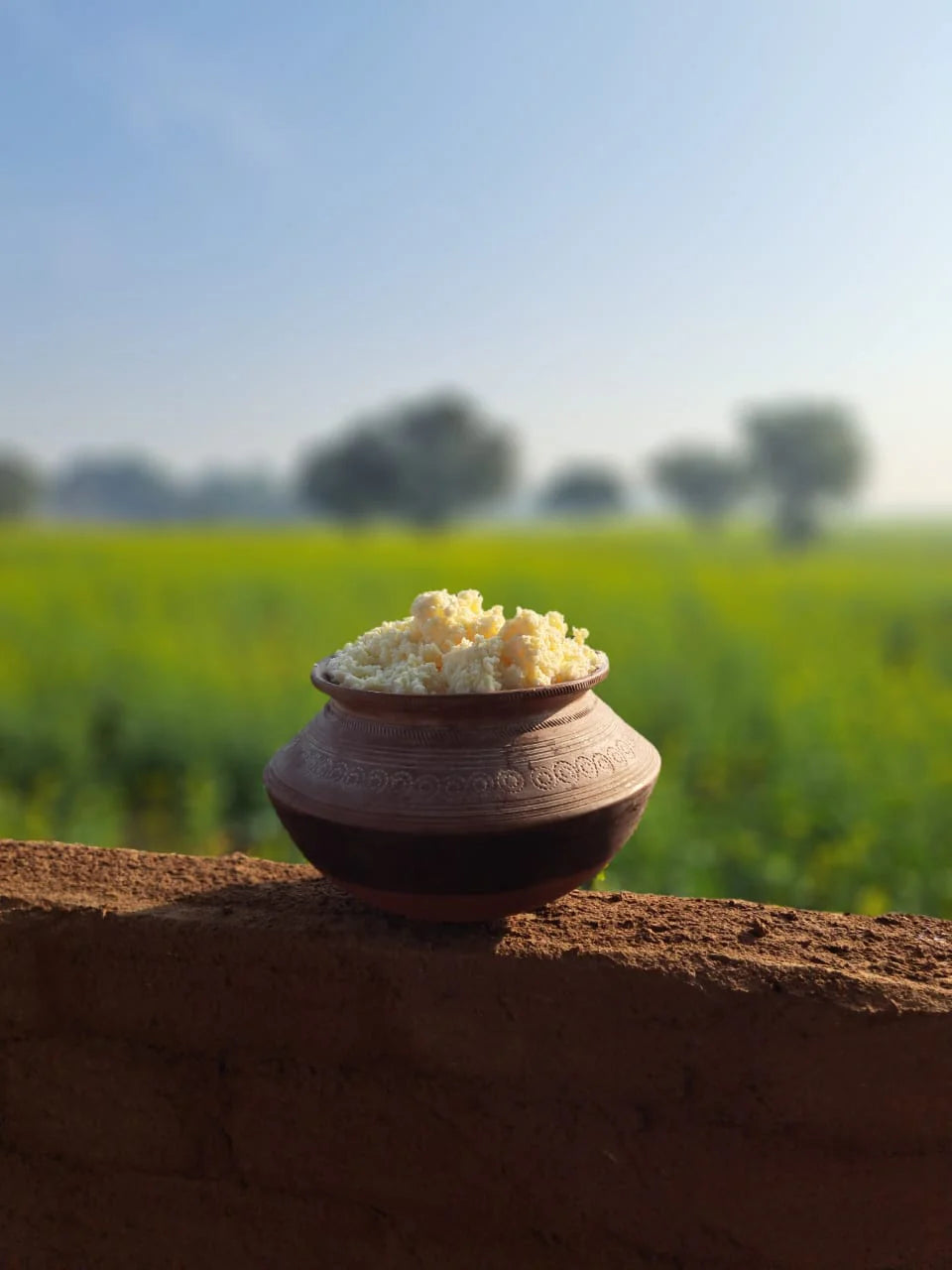 a2 ghee