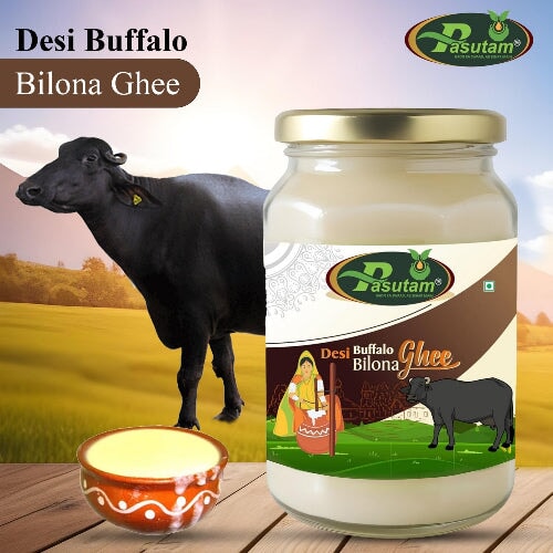 Desi Buffalo Bilona Ghee pasutam 