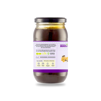 Pasutam Raw Jamun Honey | 100% Pure & Natural | Unfiltered Honey for Daily Wellness
